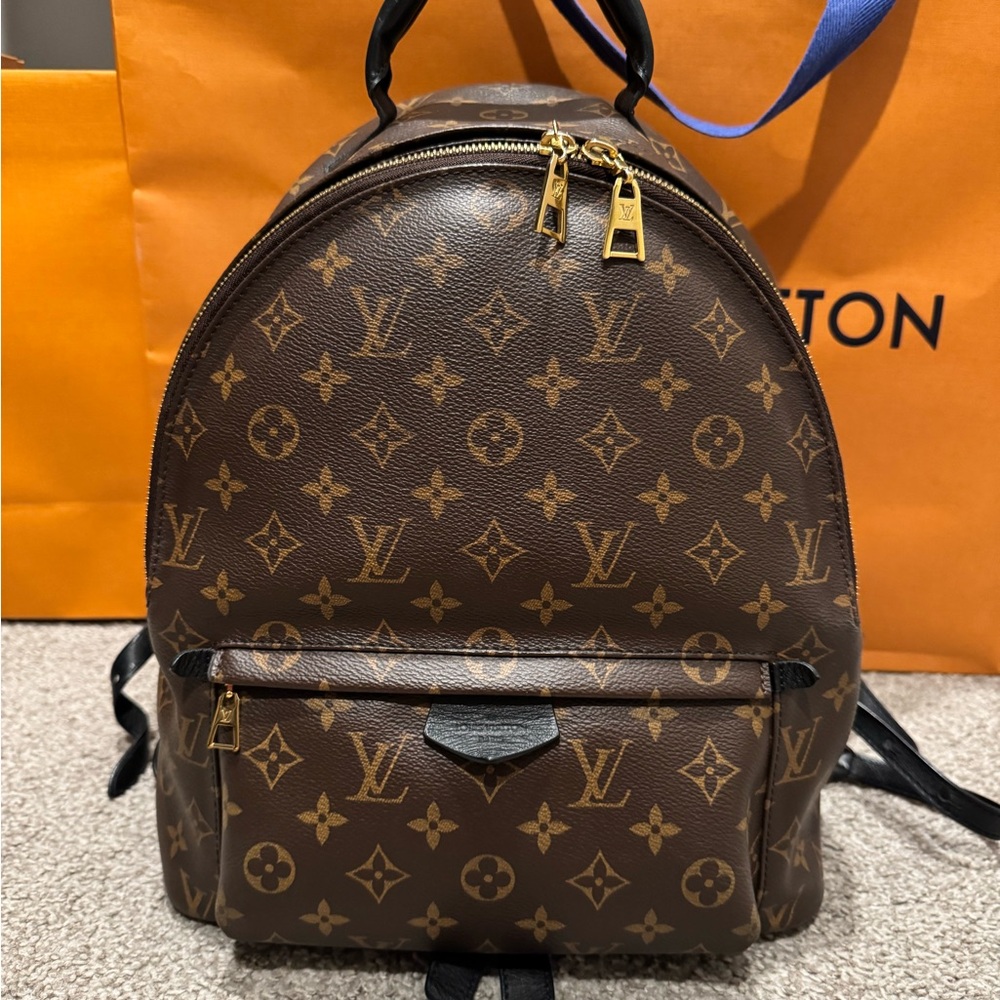 Louis Vuitton Palm Springs Backpack MM